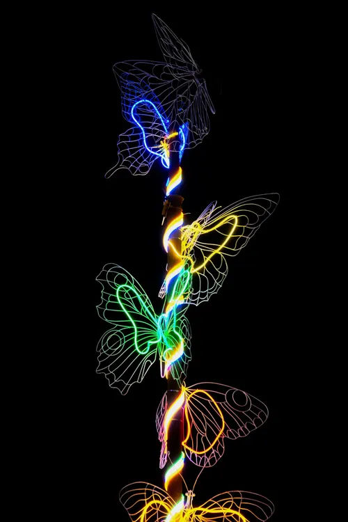Виставка світла «Illuminarium» у парку Експоцентру на півдні Києві (3)