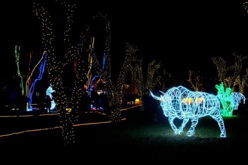 Виставка світла «Illuminarium» у парку Експоцентру на півдні Києві (4)