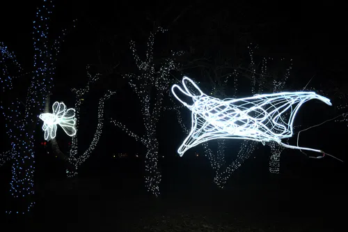 Виставка світла «Illuminarium» у парку Експоцентру на півдні Києві (6)