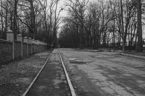 Прогулянка у перший день (6)